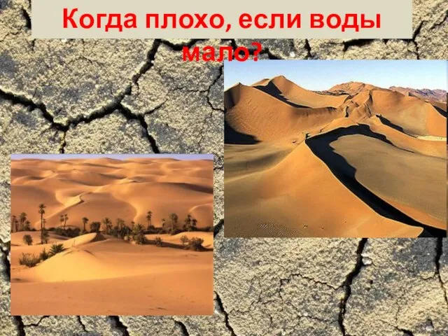 Когда плохо, если воды мало?