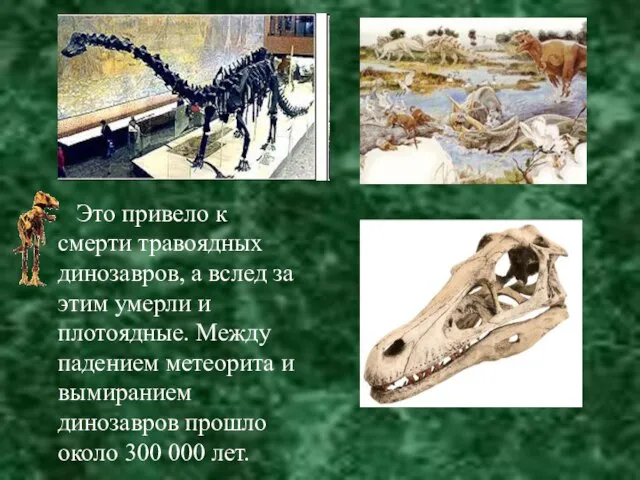 Это привело к смерти травоядных динозавров, а вслед за этим умерли и