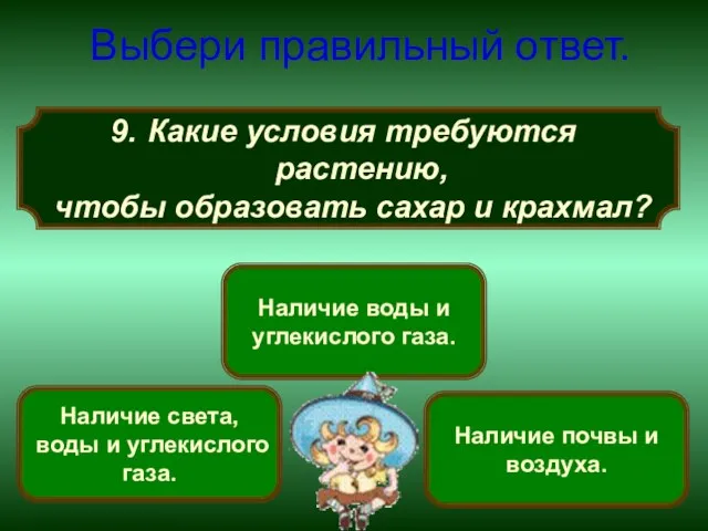 Какие условия требуются растению, чтобы образовать сахар и крахмал? Выбери правильный ответ.