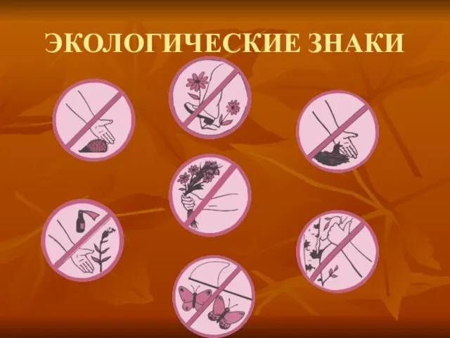 ЭКОЛОГИЧЕСКИЕ ЗНАКИ