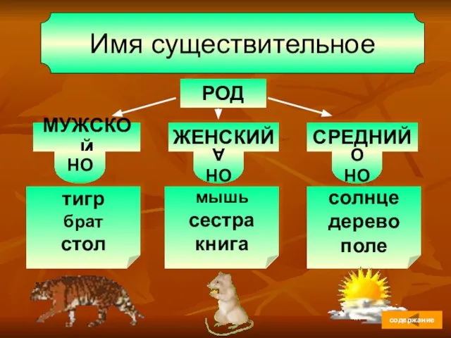 Имя существительное РОД МУЖСКОЙ ЖЕНСКИЙ СРЕДНИЙ ОН ОНА ОНО тигр брат стол