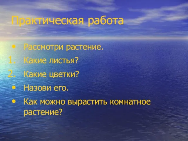 Практическая работа Рассмотри растение. Какие листья? Какие цветки? Назови его. Как можно вырастить комнатное растение?