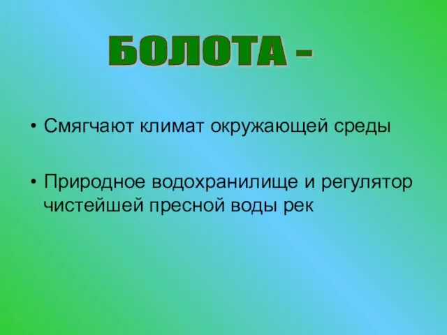 Смягчают климат окружающей среды Природное водохранилище и регулятор чистейшей пресной воды рек БОЛОТА -