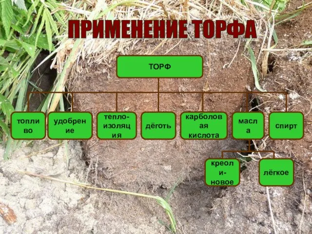 ТОРФ топливо удобрение тепло- изоляция дёготь карболовая кислота масла спирт лёгкое креоли- новое ПРИМЕНЕНИЕ ТОРФА