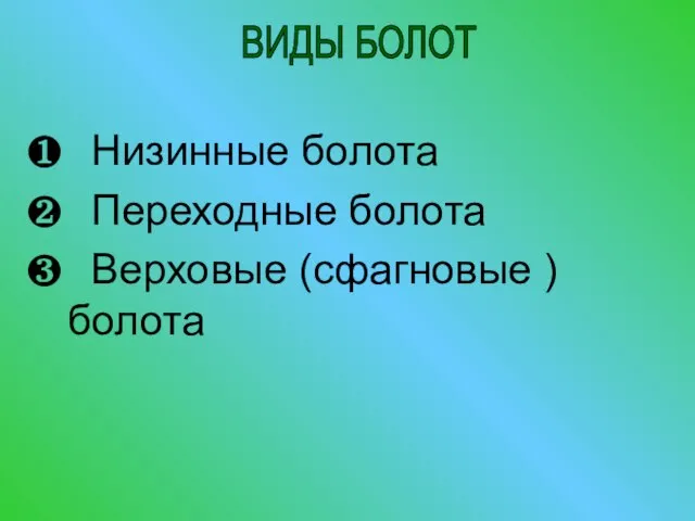 Низинные болота Переходные болота Верховые (сфагновые ) болота ВИДЫ БОЛОТ