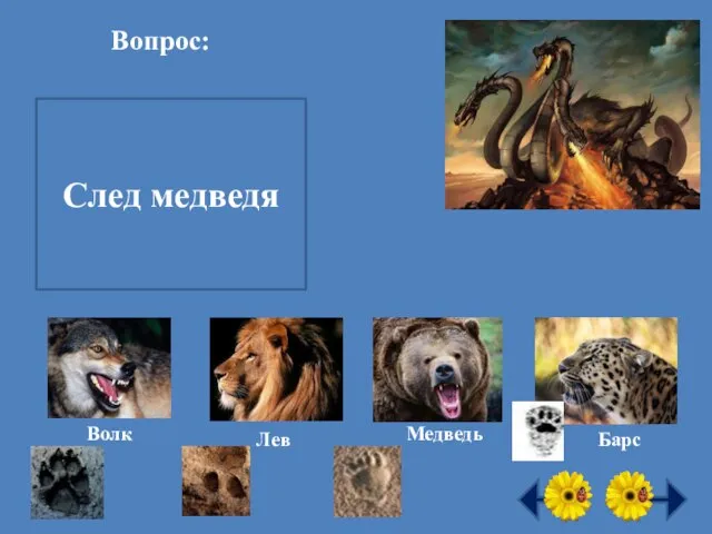 Вопрос: След какого хищного зверя похож на человеческий? След медведя Волк Лев Медведь Барс