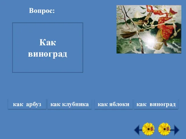 Как растут киви? Как виноград Вопрос: как арбуз как клубника как яблоки как виноград