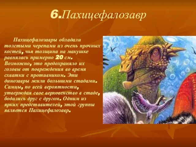 6.Пахицефалозавр Пахицефалозавры обладали толстыми черепами из очень прочных костей, чья толщина на