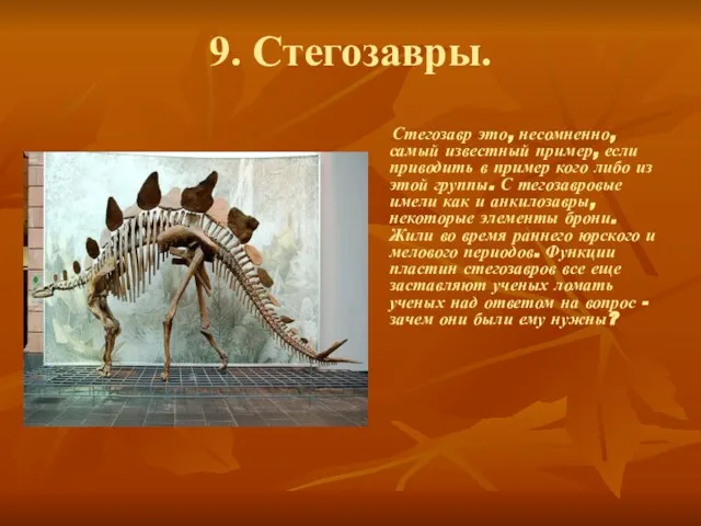 9. Стегозавры. Стегозавр это, несомненно, самый известный пример, если приводить в пример