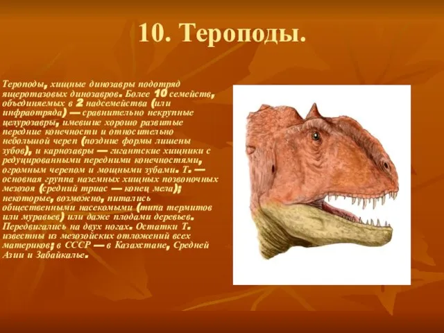 10. Тероподы. Тероподы, хищные динозавры подотряд ящеротазовых динозавров. Более 10 семейств, объединяемых