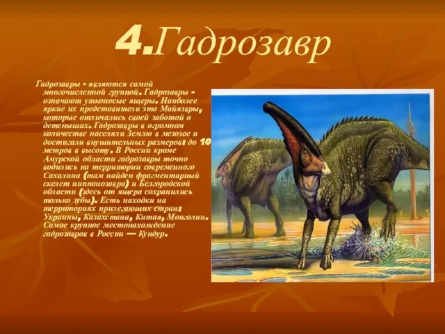 4.Гадрозавр Гадрозавры - являются самой многочисленной группой. Гадрозавры - означают утконосые ящеры.