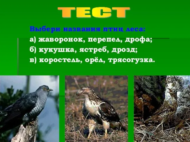 Выбери названия птиц леса: а) жаворонок, перепел, дрофа; б) кукушка, ястреб, дрозд;