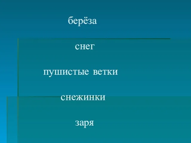 берёза снег пушистые ветки снежинки заря