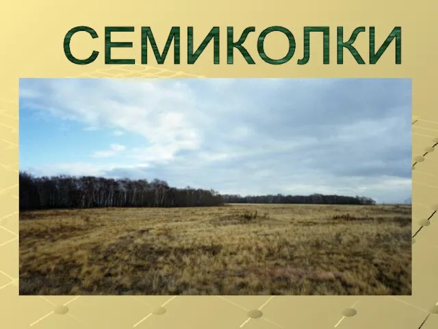 СЕМИКОЛКИ