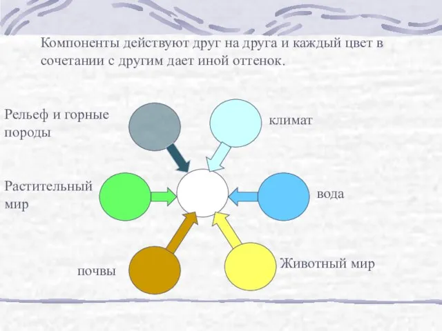 климат вода Животный мир почвы Растительный мир Рельеф и горные породы Компоненты