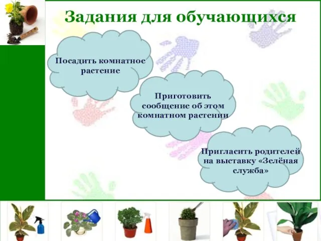 Задания для обучающихся Посадить комнатное растение Приготовить сообщение об этом комнатном растении