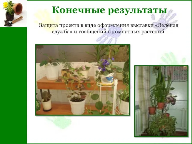 Конечные результаты Защита проекта в виде оформления выставки «Зелёная служба» и сообщений о комнатных растений.