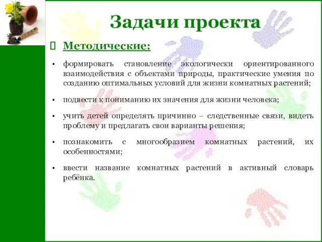 Задачи проекта Методические: формировать становление экологически ориентированного взаимодействия с объектами природы, практические