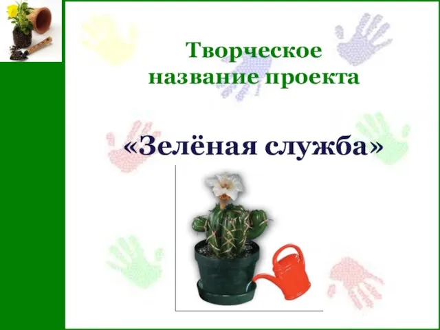 Творческое название проекта «Зелёная служба»