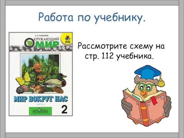 Работа по учебнику. Рассмотрите схему на стр. 112 учебника.