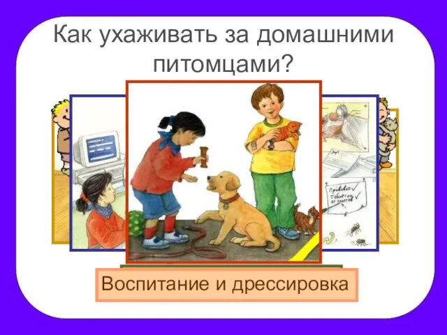 Как ухаживать за домашними питомцами? Кормление Поддержание чистоты Забота о здоровье Воспитание и дрессировка