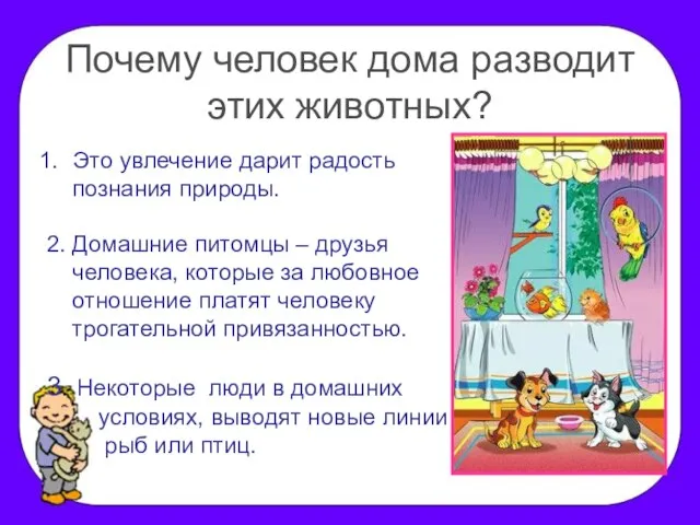 Почему человек дома разводит этих животных? Это увлечение дарит радость познания природы.