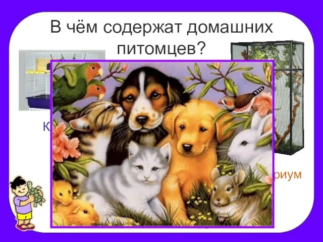 В чём содержат домашних питомцев? Клетка Будка Террариум Домик Аквариум