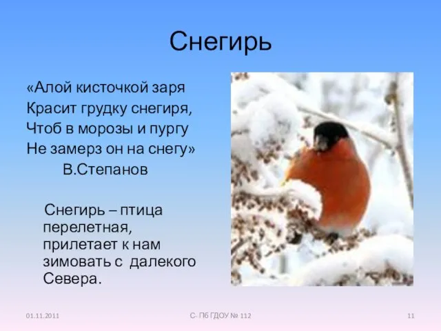 Снегирь «Алой кисточкой заря Красит грудку снегиря, Чтоб в морозы и пургу