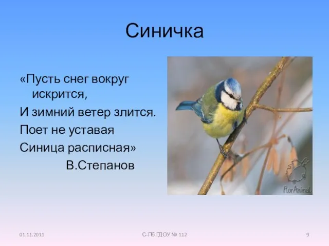 Синичка «Пусть снег вокруг искрится, И зимний ветер злится. Поет не уставая