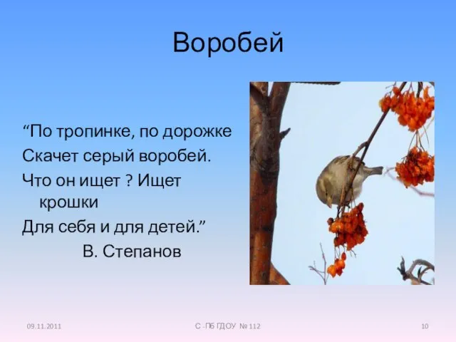 Воробей “По тропинке, по дорожке Скачет серый воробей. Что он ищет ?