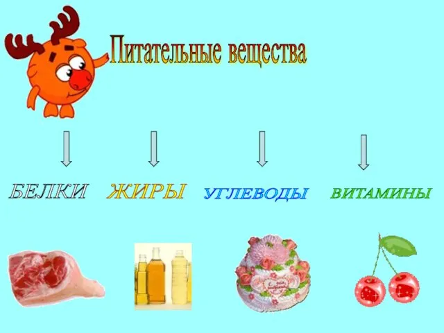 Питательные вещества БЕЛКИ ЖИРЫ УГЛЕВОДЫ ВИТАМИНЫ