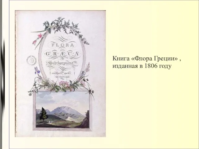 Книга «Флора Греции» , изданная в 1806 году