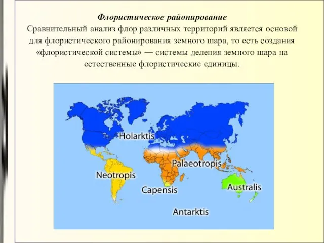 Флористическое районирование Сравнительный анализ флор различных территорий является основой для флористического районирования