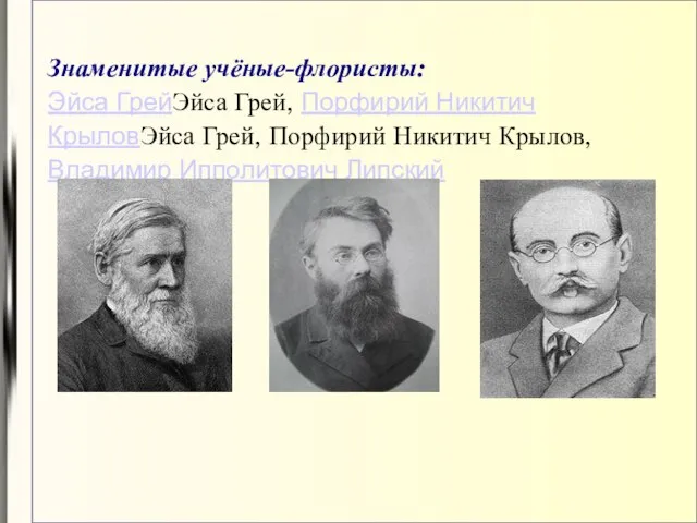 Знаменитые учёные-флористы: Эйса ГрейЭйса Грей, Порфирий Никитич КрыловЭйса Грей, Порфирий Никитич Крылов, Владимир Ипполитович Липский