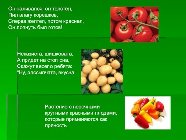 Он наливался, он толстел, Пил влагу корешков, Сперва желтел, потом краснел, Он