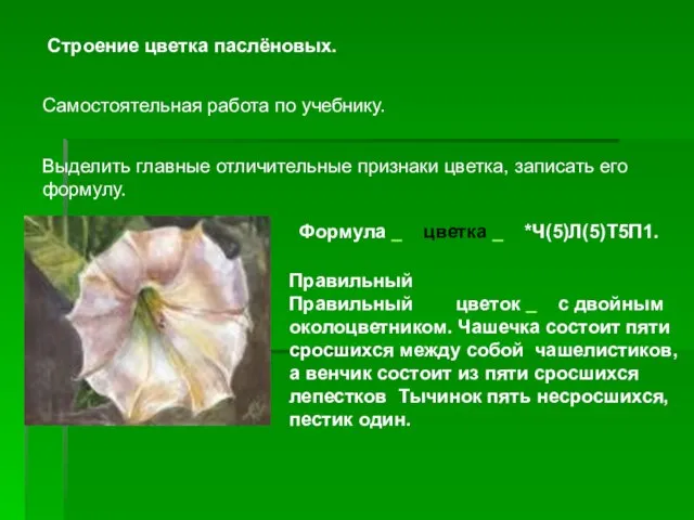 Строение цветка паслёновых. Самостоятельная работа по учебнику. Выделить главные отличительные признаки цветка,