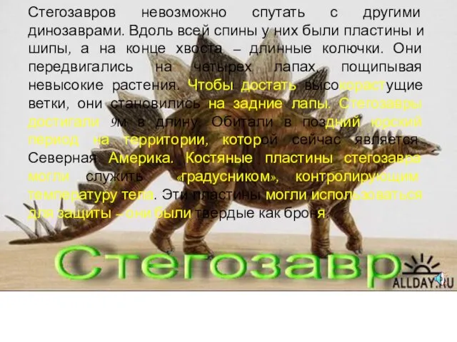 Стегозавров невозможно спутать с другими динозаврами. Вдоль всей спины у них были