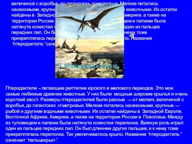 Птеродактили – летающие рептилии юрского и мелового периодов. Это мои самые любимые