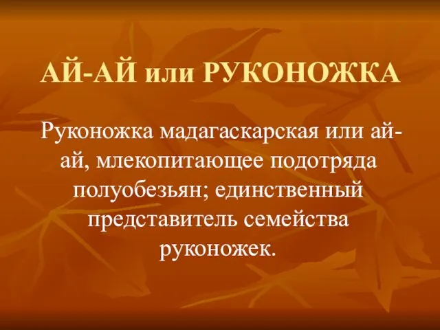 АЙ-АЙ или РУКОНОЖКА Руконожка мадагаскарская или ай-ай, млекопитающее подотряда полуобезьян; единственный представитель семейства руконожек.