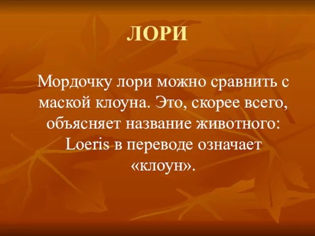 ЛОРИ Мордочку лори можно сравнить с маской клоуна. Это, скорее всего, объясняет