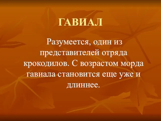 ГАВИАЛ Разумеется, один из представителей отряда крокодилов. С возрастом морда гавиала становится еще уже и длиннее.