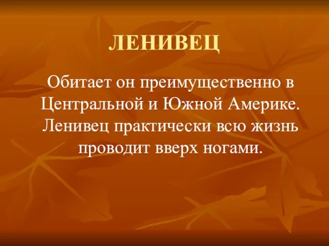 ЛЕНИВЕЦ Обитает он преимущественно в Центральной и Южной Америке. Ленивец практически всю жизнь проводит вверх ногами.