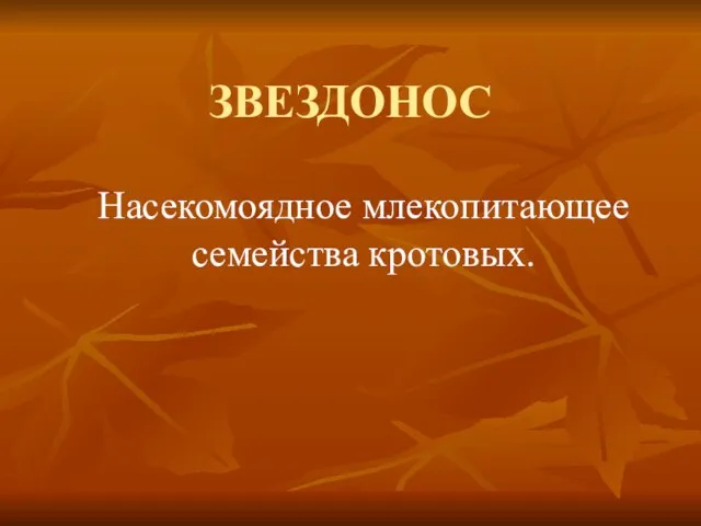 ЗВЕЗДОНОС Насекомоядное млекопитающее семейства кротовых.