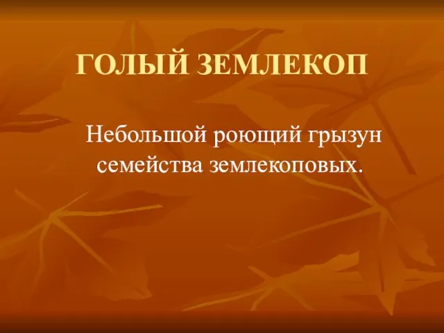 ГОЛЫЙ ЗЕМЛЕКОП Небольшой роющий грызун семейства землекоповых.