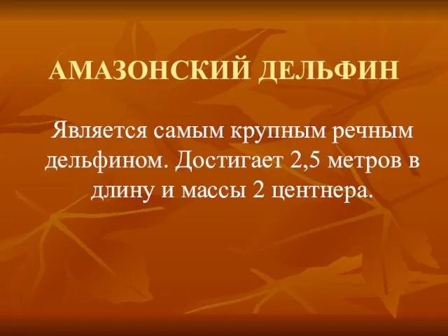 АМАЗОНСКИЙ ДЕЛЬФИН Является самым крупным речным дельфином. Достигает 2,5 метров в длину и массы 2 центнера.