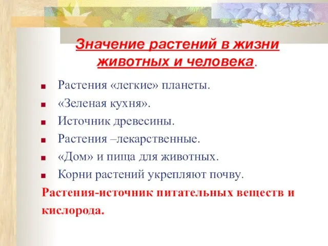 Значение растений в жизни животных и человека. Растения «легкие» планеты. «Зеленая кухня».