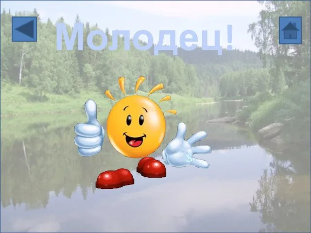 Молодец!