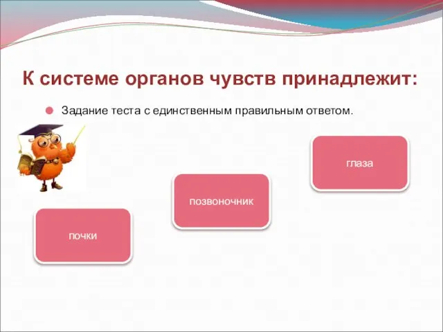 К системе органов чувств принадлежит: Задание теста с единственным правильным ответом. глаза почки позвоночник