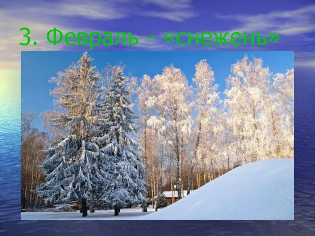 3. Февраль - «снежень»