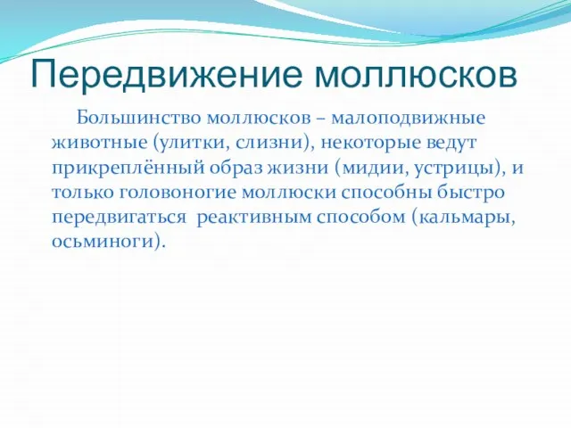 Передвижение моллюсков Большинство моллюсков – малоподвижные животные (улитки, слизни), некоторые ведут прикреплённый